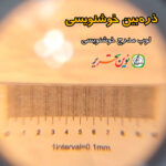 ذره بین خوشنویسی