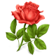 انواع گل کادر گل فایل گرافیکی
